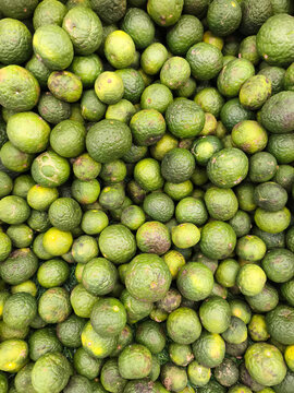 Fresh Limequat (Jeruk Limau) Background, Full Frame Citrus Fruit Harvest and Organic Farm Produce