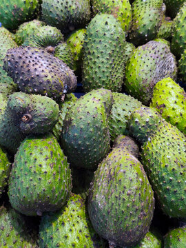 Fresh Soursop (Graviola) Background, Full Frame Tropical Fruit Harvest and Organic Farm Produce