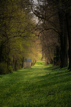 Vertical Green Treelined Path Leading to Secluded Small Square Building in Dappled Sunlight Serene Spring Landscape Growth and New Life Concept