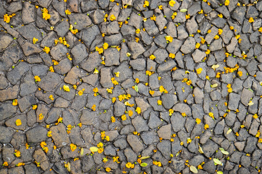 Traditional cobblestone sidewalk in Lisbon with scattered petals