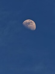 Half moon in a deep blue daytime sky © Ruslan