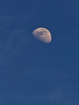 Half moon in a deep blue daytime sky