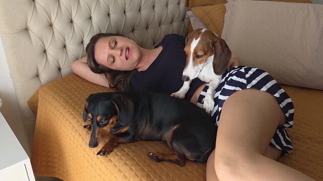 Mulher com cachorros da ra&ccedil;a duchshund 