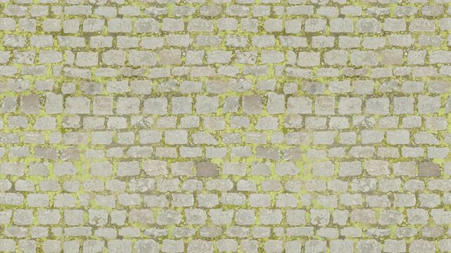 Weathered grey paving stones and green moss form a seamless loop.