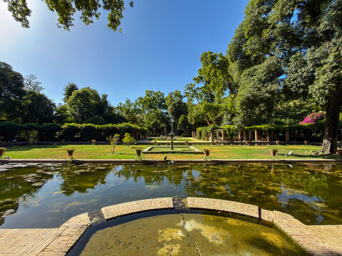 Panoramic View of the Lotus Pond in Maria Luisa Park