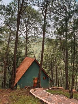 Caba&ntilde;a en tiempo de lluvia entre &aacute;rboles en el bosque de Mazamitla Jalisco M&eacute;xico 