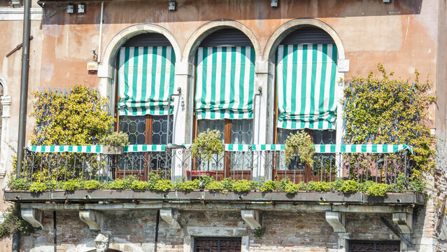View of a traditional balcony with green and white striped awnings, lush potted plants, and an ornate wrought iron railing against a weathered terracotta facade in Venice, Veneto, Italy.
