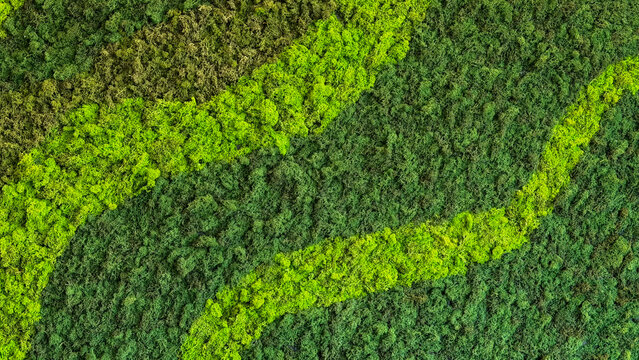 Natural preserved moss wall texture in multiple green shades. Organic biophilic background with decorative stabilized moss for modern interior design.