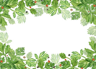 Fototapeta premium Watercolor frame made of parsley and peppercorns, all hand-painted in watercolor. Illustration for the design of culinary menus and packaging of healthy organic products, textiles.