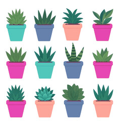 Fototapeta premium Potted plants set vector, Isolated on white background.
