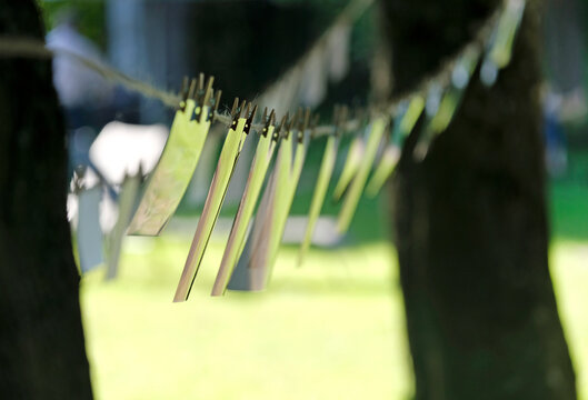 Photos hung up on a line at a wedding