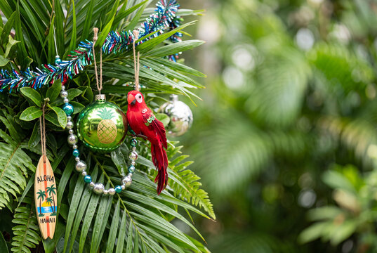 Tropical christmas palm ornaments with red parrot and aloha surfboard charm for holiday background and festive banner design