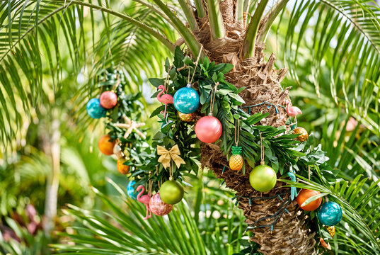 Tropical palm tree decorated with colorful christmas baubles and garland for holiday outdoor background and festive banner design