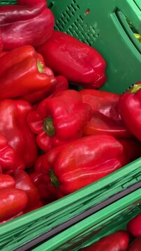 Red bell peppers piled in a market crate
