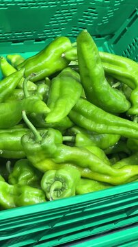 Green peppers piled in a market crate