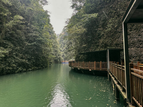 View of the wooden walkway along the calm green waters of Baofeng Lake surrounded by towering cliffs and lush forest in Zhangjiajie, Hunan, China.