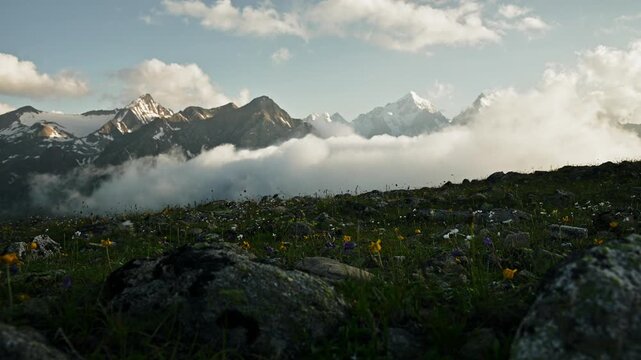 Scenic mountain landscape with flowers and clouds, parallax movement to the side