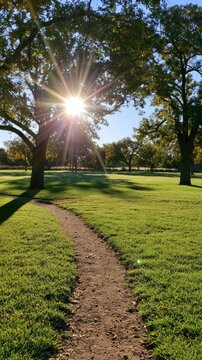 Sun shining through trees creating path flare