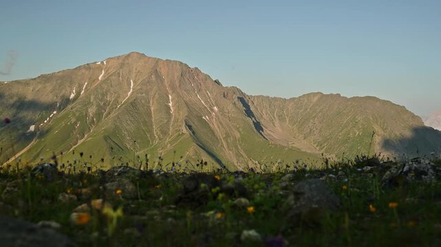 Mountain landscape with wildflowers, parallax movement across scenic view