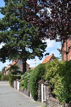 Picturesque residential street with brick houses green trees and brick fence