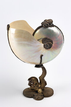 Antique decorative Nautilus shell cup: mother-of-pearl shell in a bronze stand case with octopus and seahorse figures on a white background