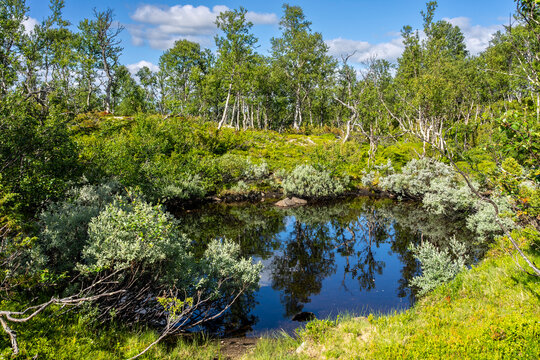 &Oslash;yungen, Hessdalen, Holt&aring;len, Tr&oslash;ndelag, Norway