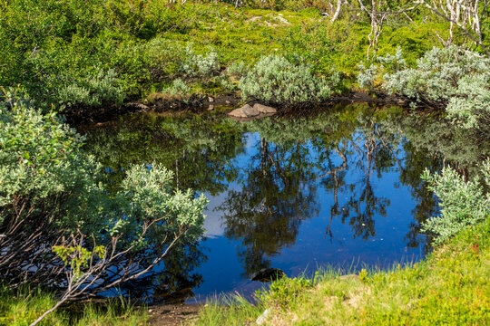&Oslash;yungen, Hessdalen, Holt&aring;len, Tr&oslash;ndelag, Norway