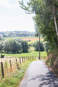 country road in the countryside