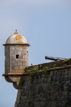 View of the historic stone watchtower and cannon at the Forte de Sao Francisco Xavier with mossy textures and clear sky in Matosinhos, Porto District, Portugal.