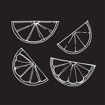 Hand Drawn Citrus Fruit Slices Sketch Vector Set on Black Background
