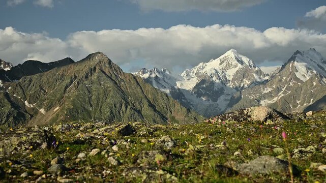 Scenic mountain landscape with flowers and snow-capped peaks in view