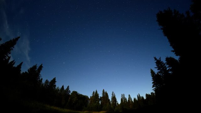 Night sky timelapse with moon lit blue sky and stars moving and a silhouette forest park foreground
