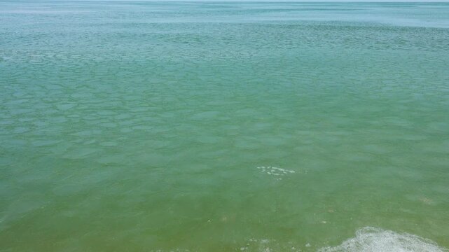 Cream ice, ice fat on Azov Sea. In calm, frosty weather, even salt water freezes, pancake ice forms, and when pores filled, ice crystals merge into flexible mass that extinguishes waves. Foam hardens