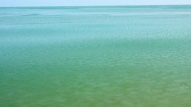 Cream ice, ice fat on Azov Sea. In calm, frosty weather, even salt water freezes, pancake ice forms, and when pores filled, ice crystals merge into flexible mass that extinguishes waves. Foam hardens