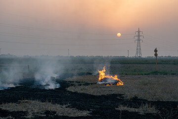 Crop Residue Burning in Agricultural Field with Smoke © sunnyranaphotos