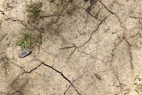 A close view of the hard dry dirt ground surface.