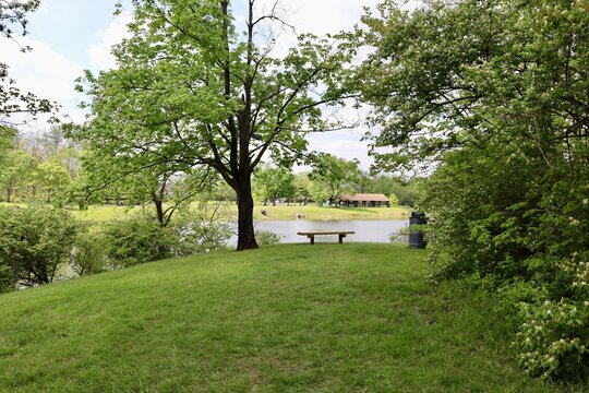 The empty bench in the park .