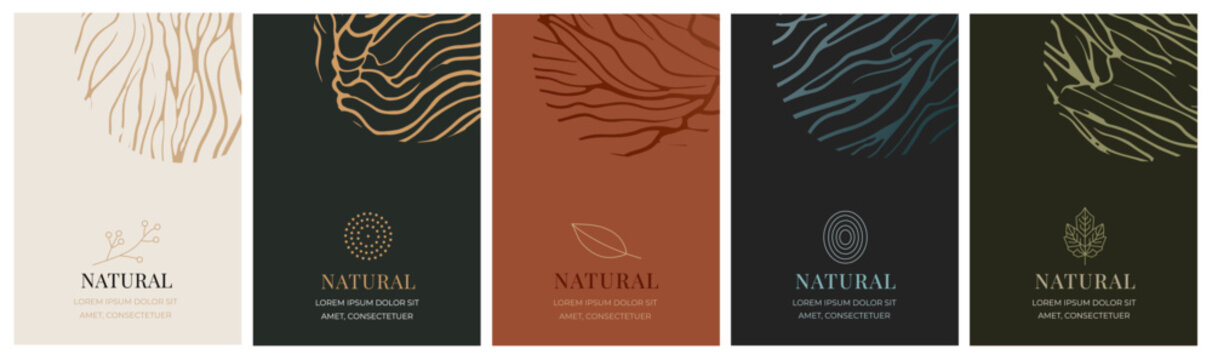 Minimalist organic branding template set; abstract line art shape collection; elegant business card design pack; botanical logo label vector; aesthetic social media story background