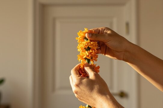 hands crafting marigold garland in soft sunlight for festive home decor