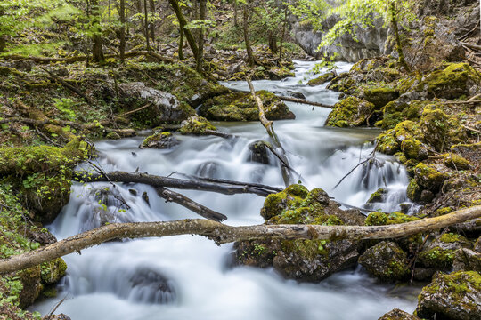 View of the Hartelsgraben stream flowing over mossy rocks and fallen logs in a lush forest in Johnsbach, Styria, Austria.