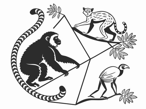 Orangutan, lemur, gibbon, and mandrill illustrated with expressive black line art and distinctive silhouettes, white background, evenly spaced four-animal arrangement, precise paths and organized edit