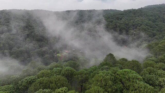 Monta&ntilde;a con neblina en verano en Mazamitla Jalisco M&eacute;xico 