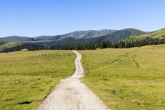 View of a dirt path winding through the grassy meadows of the Koralpe mountain range with pine trees and a clear blue sky in Weinebene, Styria, Austria.