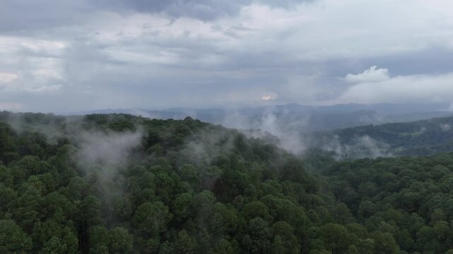 Vista de dron neblina en la monta&ntilde;a y en el bosque de Mazamitla Jalisco M&eacute;xico 