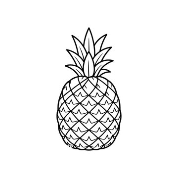 A premium black and white vector illustration of a single whole pineapple with neatly arranged geometric scales and a symmetrical leafy crown