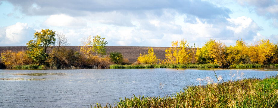 Autumn lake with yellow trees on shore and plowed field under cloudy sky