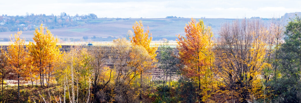 Panoramic autumn rural landscape with yellow trees against hills background
