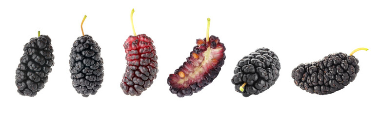 Sweet fresh mulberries isolated on white, set © New Africa