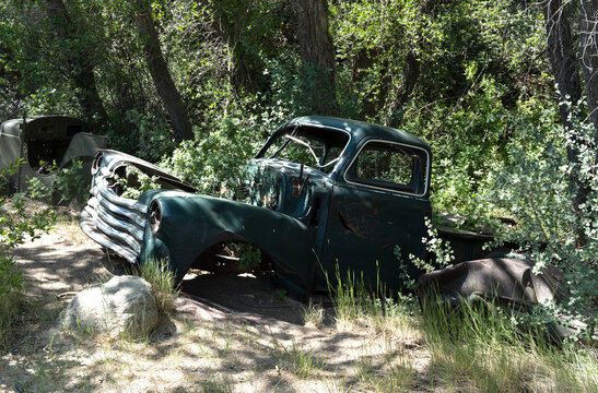 Deteriorating ancient vehicle amidst a stand of trees