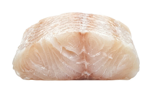 fresh fish fillet png raw snapper fillet cutout white cod fillet png healthy seafood fillet cutout thick fish fillet png skinless fish isolated transparent background image